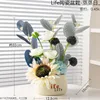 Plantas en maceta de plástico - Prósperas