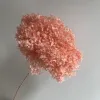 melocotón rosa