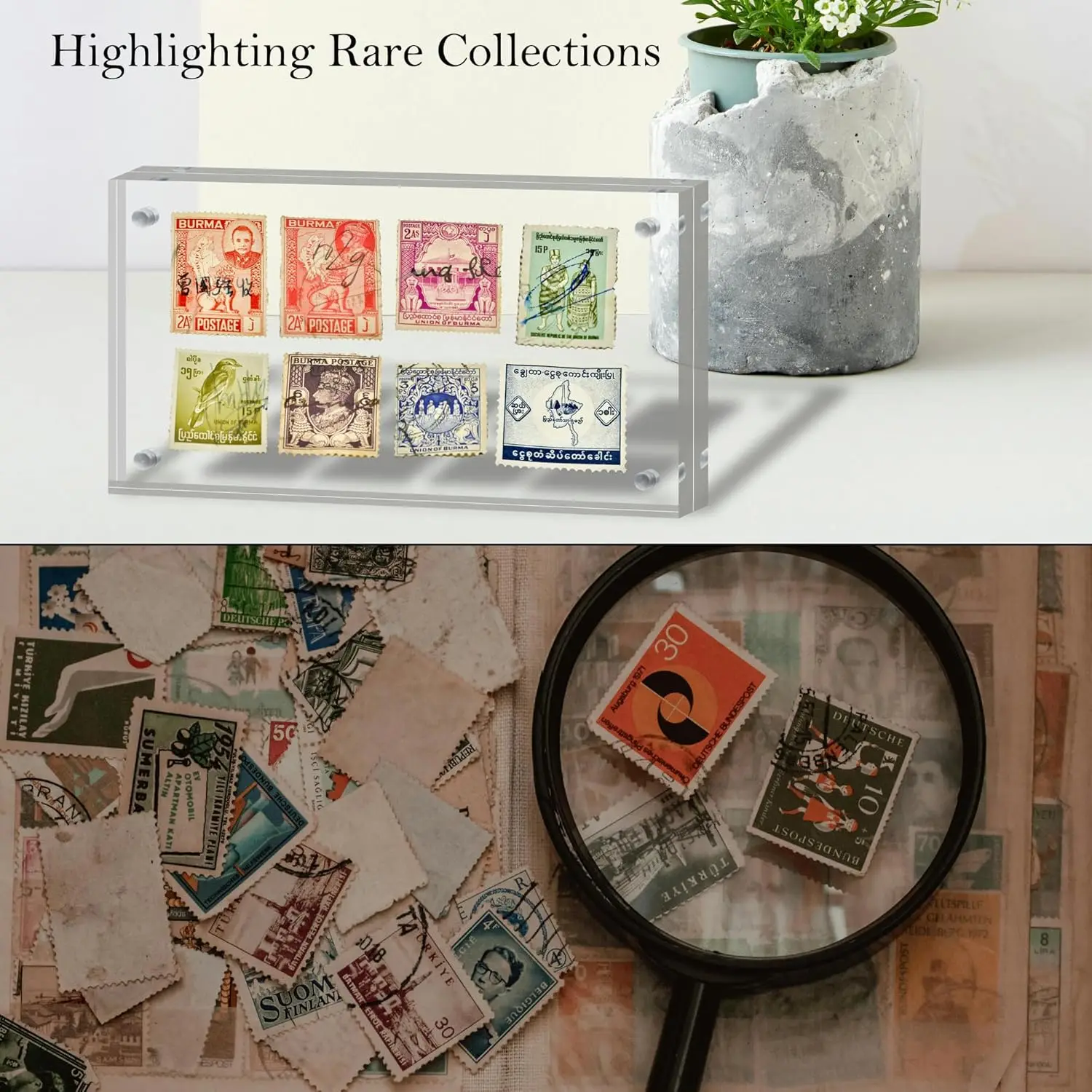 Customized Dollar Bill Frame Display Case Clear Banknotes Protector Ticket Protector Photos Frame