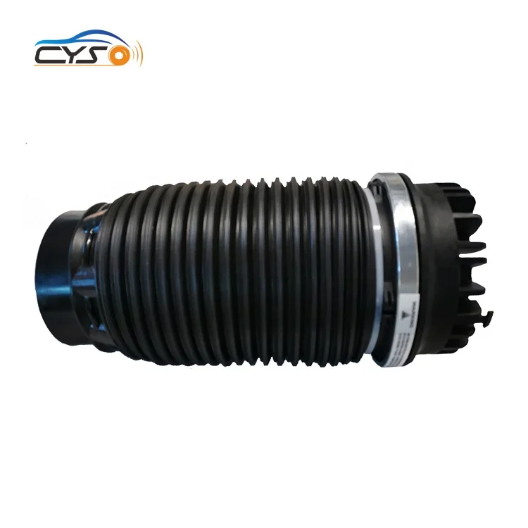 Rear Air Suspension Spring Bellows Bag for Dodge Ram 1500 2013-2018 68248948AA 4877136AB