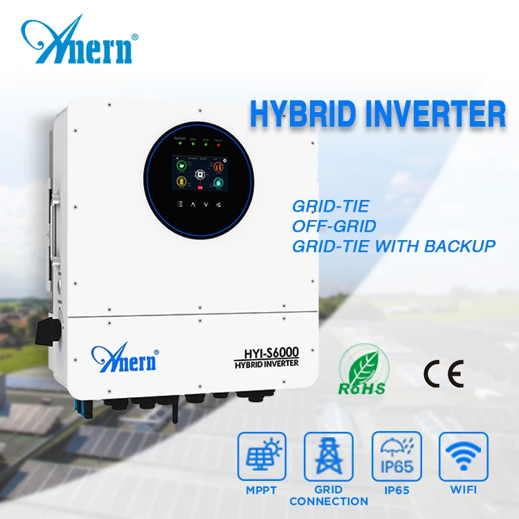 Anern Pure Sine Wave Inverter Charger Single Phase off Grid Solar Inverter 12v 24vdc 220 Vac 2000w 3000w Solar Power Inverter