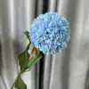 Bleu clair