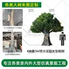 Enlace de depósito de árbol de higuera de cemento de 4 m de alto y 5 m de ancho