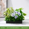 A40-3  35*25 cm flower boxes.