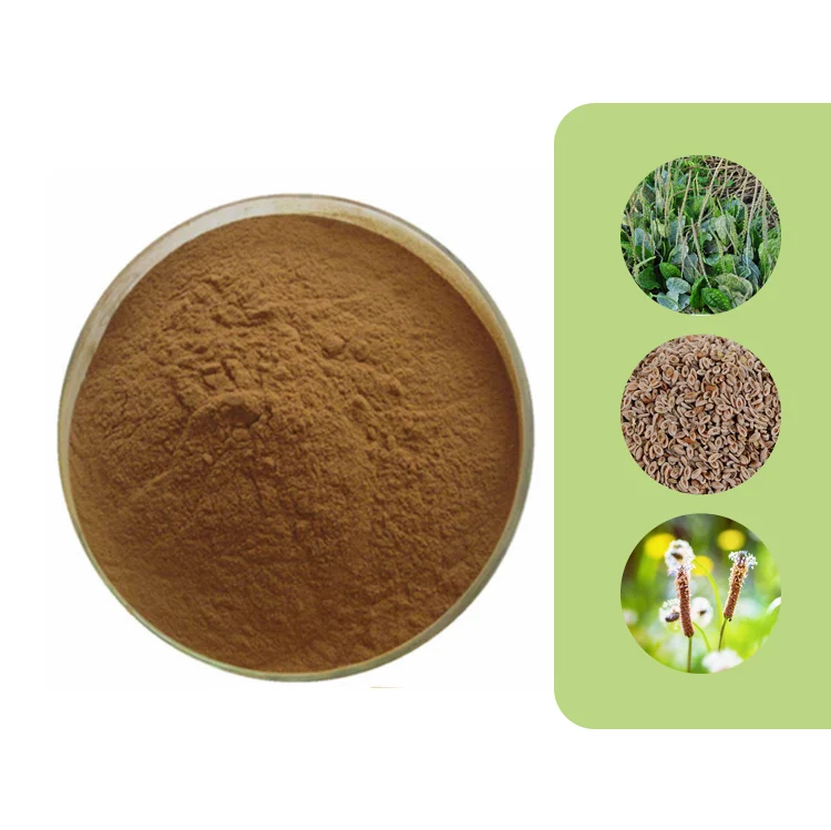 Herbasea Natural Psyllium Extract Plantago Seed Extract 10:1 Asiatic ...