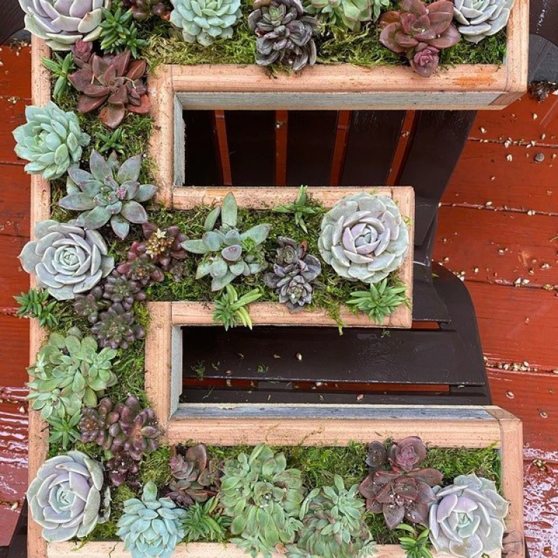 Multi Types Containers Wood Craft Garden Decoration Creative Letters Succulent Flower Pots Alphabet Shape Green Planter