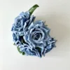 5 haze blue