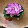 Purple-2