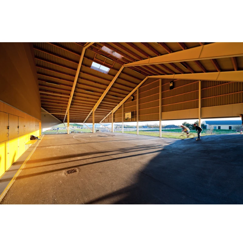 Steel Structure Event Facility Construction Gym / Metal Roof Steel Truss Structure Frame Badminton Gym Made in China