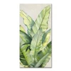 Green:MC163745C