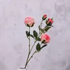 สีชมพู
