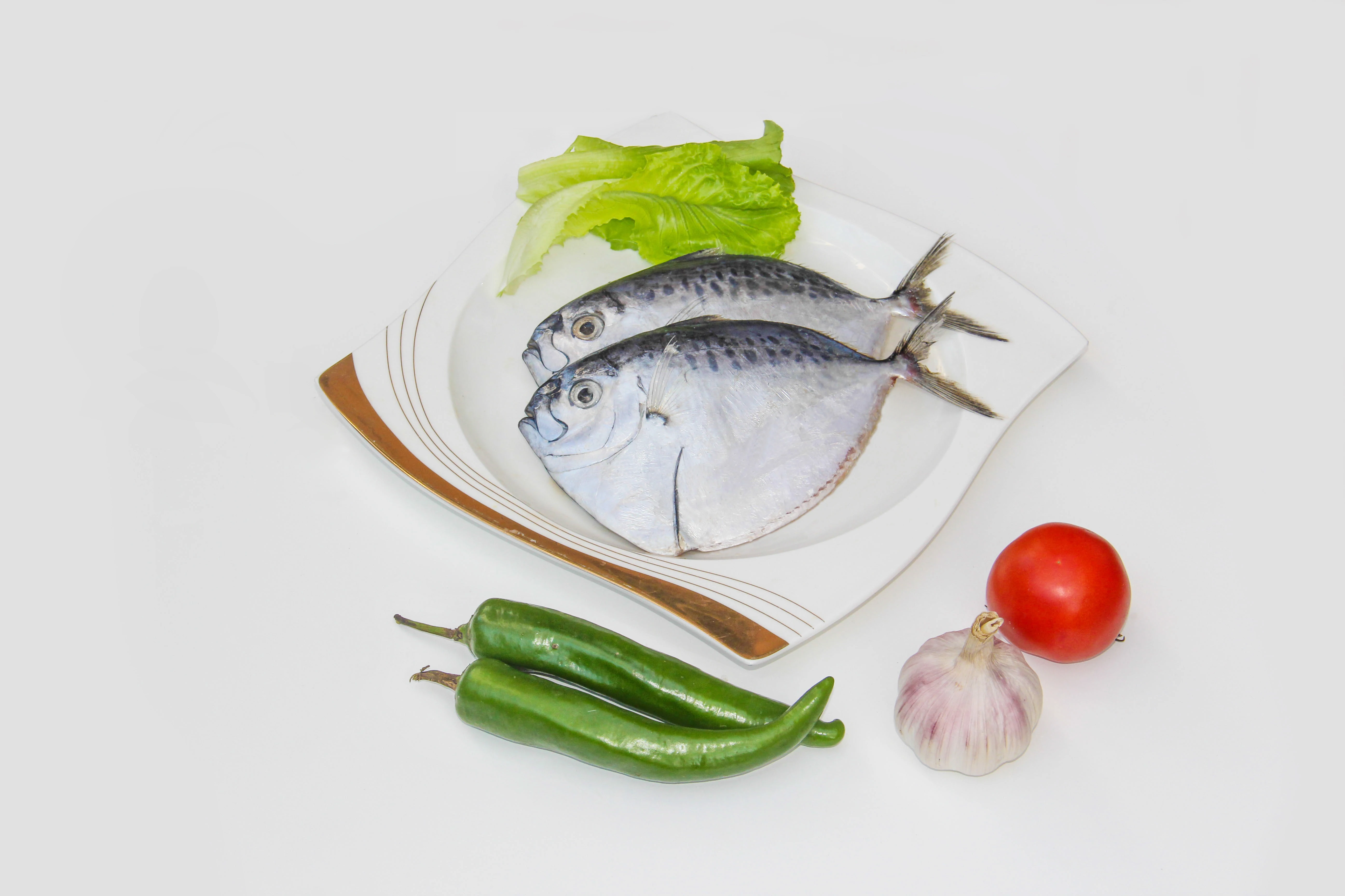 批发海鲜鱼冷冻海鲜鱼鱼群点状海蜇150-250克