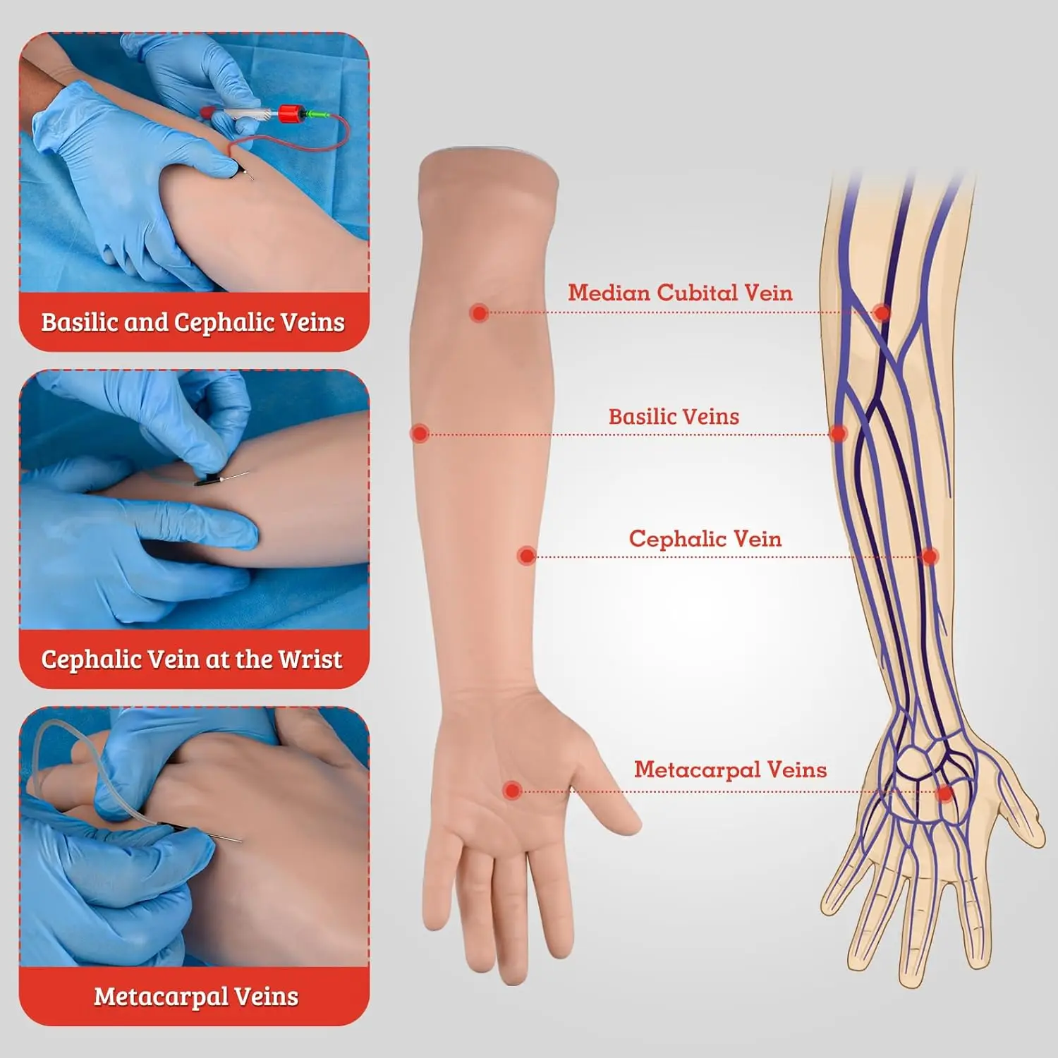 Medical Science Arm Injection Model Practice Kit for Training Model Venipuncture Training Kit Injection Training Model