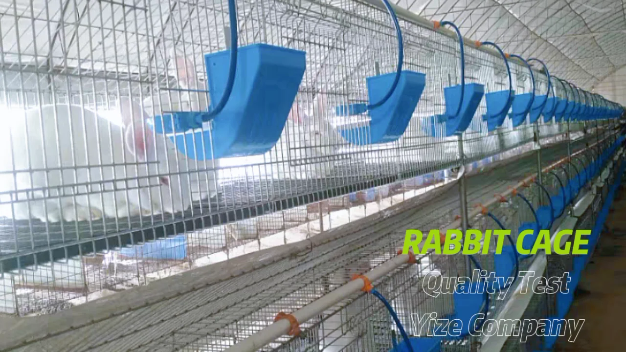 Large Rabbits Commercial Rabbit Cage System Rabbit Cage For Sale Buy