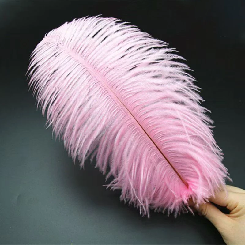 Multi-color Ostrich Large Feather for Wedding Decoration South Africa Bird Real  Art Carnival Costume