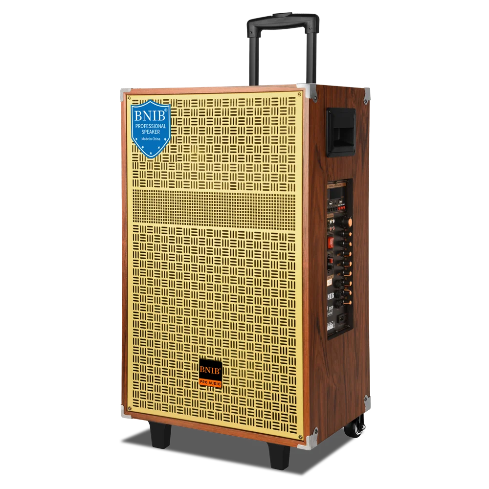 Деревянная акустическая система беспроводной OEM колонки Tws аудио звука караоке 12 дюймовый динамик для Dj вечеринки отдыха на открытом