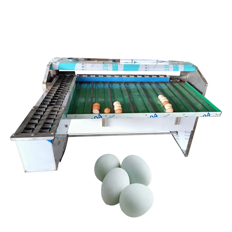 Egg Grader Cost Egg Grading Machine Price Egg Grader
