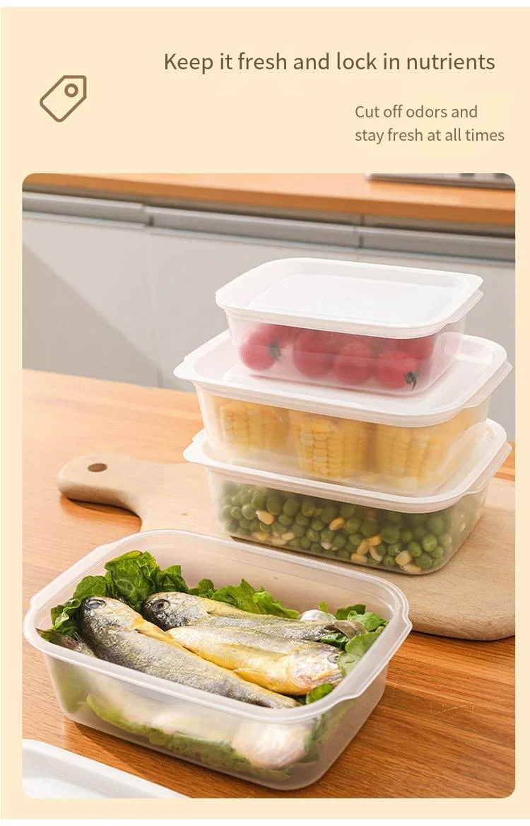 Fresh-keeping box set Refrigerator with lid food-grade plastic lunchmulti-grain type onion box supplier