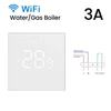 Gas Boiler-White