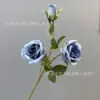 Aprecia la Rosa