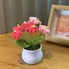 pink flowers