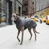 Grigio
