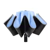 Folding umbrella 2