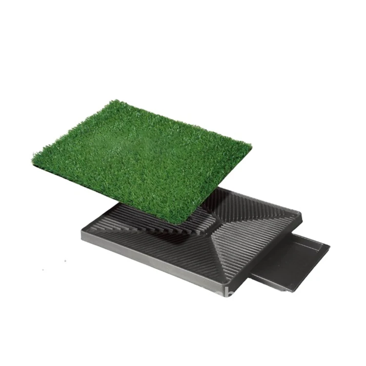 grass toilet
