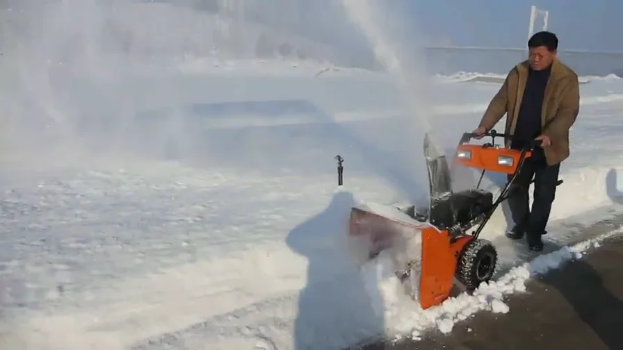 Factory Direct Supply Electric Snow Blower Cheap Brush Snow Blower