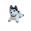 Husky sibérien
