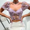 Viola