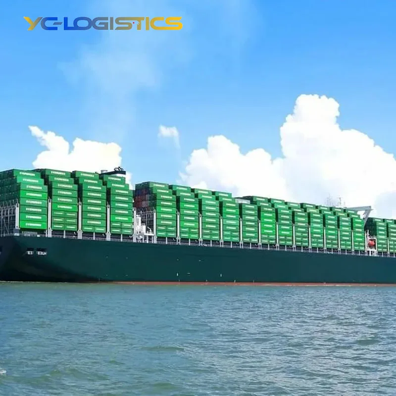 Inspection Service Professional China Shenzhen Swift International Logistics Raliway Train Shipping Agent From China to Brazil