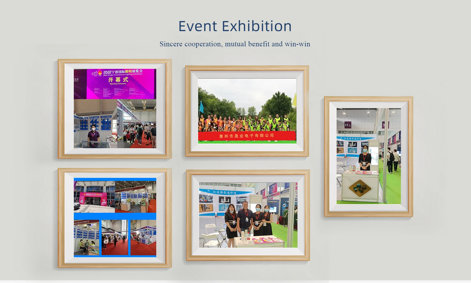 Company Overview - Huizhou Shengye Electronics Co., Ltd.