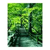 1391 green tree corridor