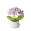 Bonsaï Myosotis violet