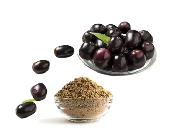 Wholesale Jamun Extract Powder Natural Syzygium Cumini Extract Rich in Antioxidants Bulk Supply for Supplements
