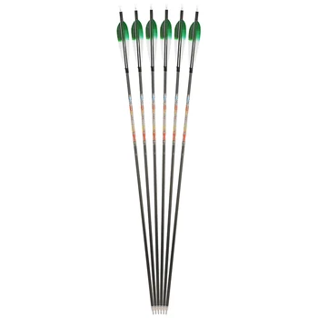 Flèches En Aluminium 31 Pouces Spine 550 Pour Arc Recurve Compos Lot De 6 12 Avec 1083498
