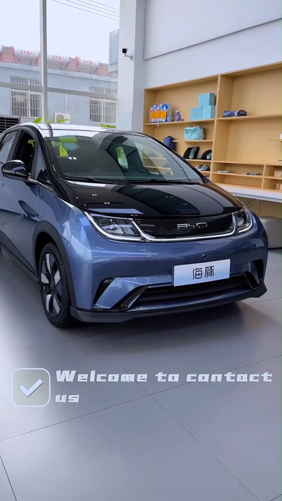 Byd Dolphin Ev Car 2024 Cheapest China Byd Dolphin 302km Vitality