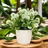 2 white