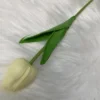 Creamy white