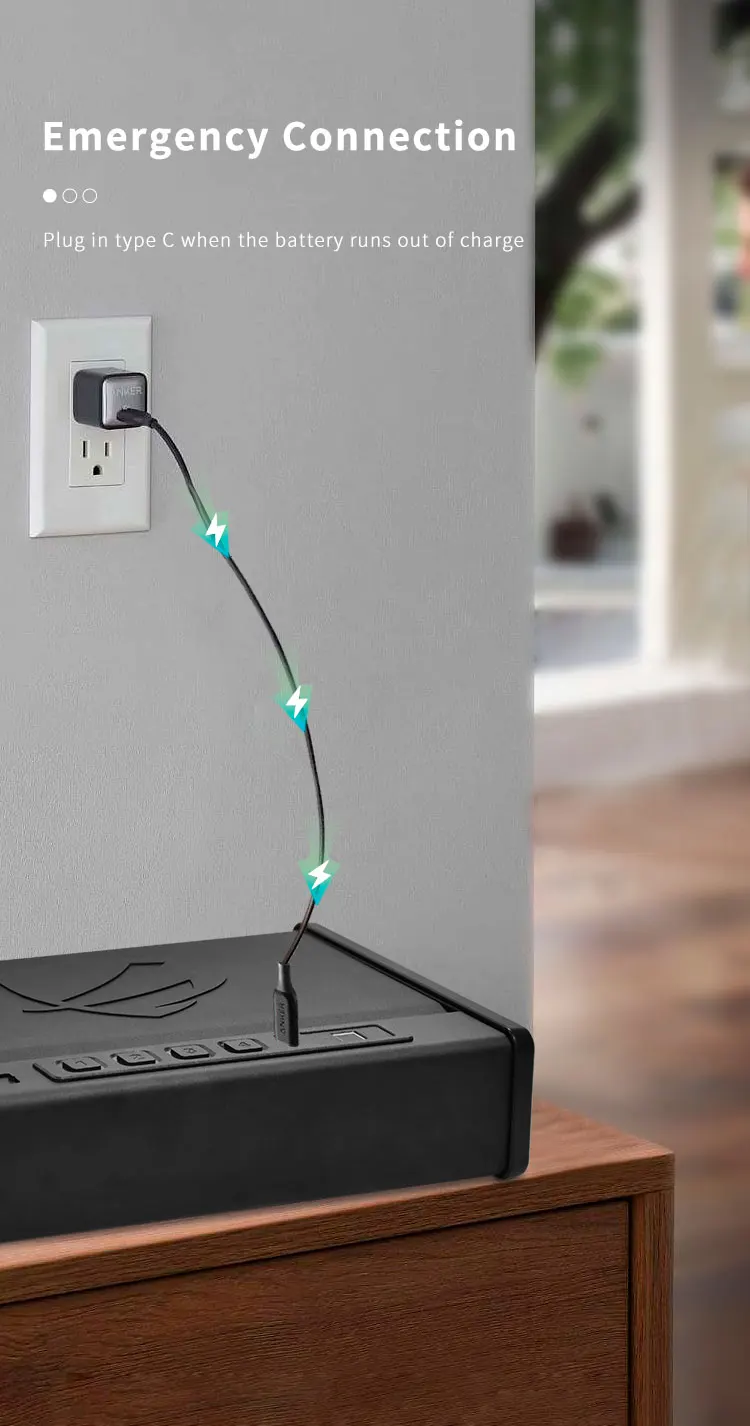 CEQSAFE China Portable Security Safe Box Combination Digital Safe Box Biometric Gun Safe factory