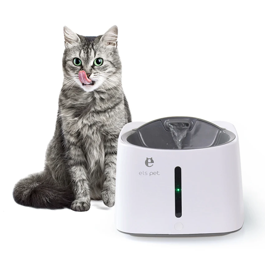 pet drinking fountain canada