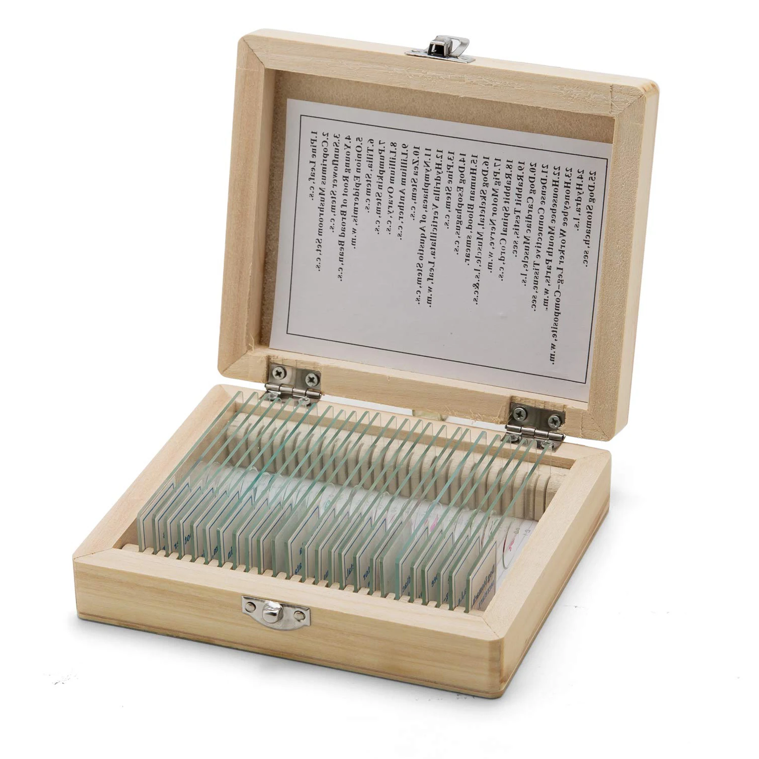Medical Teaching Research Algae Botany 10pcs Pre Prepared Microscope Slides