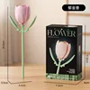 M5017-tulipe