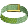 #8 Lime With Gold Frame for Whoop 5.0