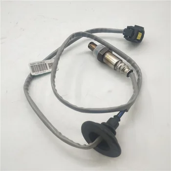 P.L.N. SIZE S 日本未入荷 Ha44c72e9f7ae4540ab99522e87d72