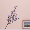 Pourpre