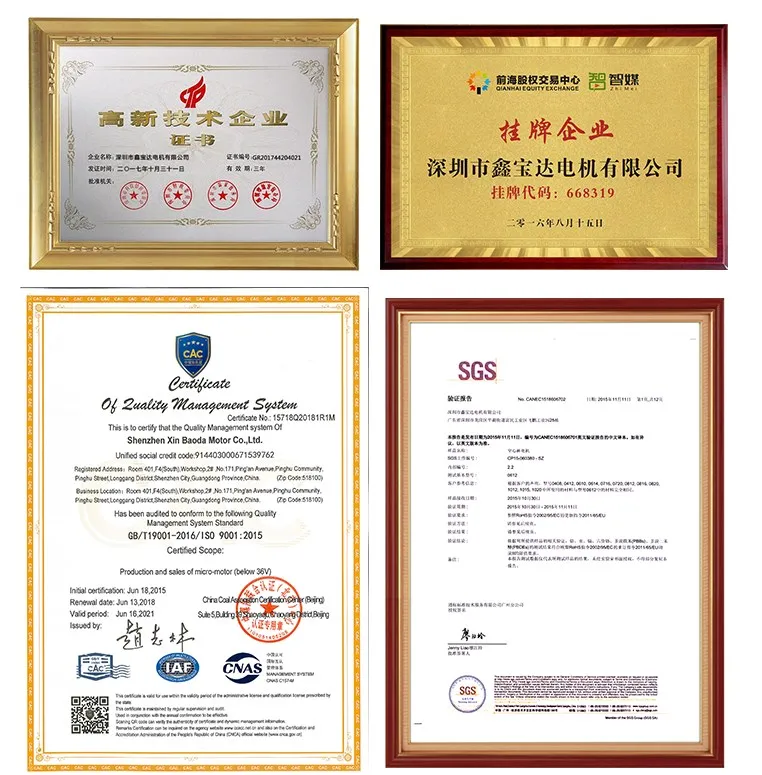 Maxon Replace Coreless Dc Servo Motor For Smoking Calculator Stuttering