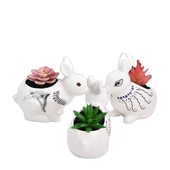 Ceramic Pots for Flowers and Indoor Plants Planter Pots in Wholesale and Availability of Flower Pots and Planters