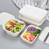 Caja de alimentos de bagazo